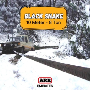 Black Snake 10M 8T W/ Thimbles Black Snake 10M 8T W/ Thimbles