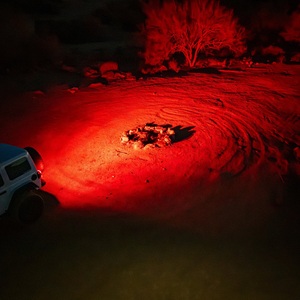 Nano Scene Red 2Pk (Universal Fitting) Nano Scene Red 2Pk (Universal Fitting)