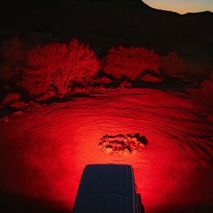 Nano Scene Red Amber 2Pk (Universal Fitting) Nano Scene Red Amber 2Pk (Universal Fitting)